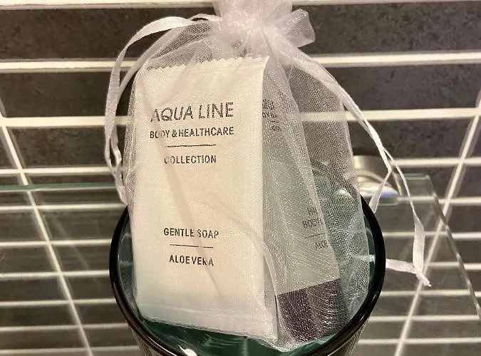 Le Petit Logis - Vue * Granville